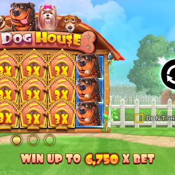 The Dog House 슬롯 – Pragmatic Play